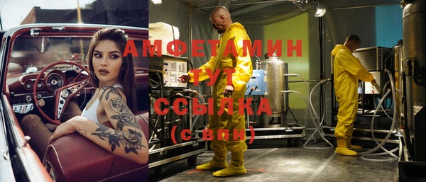 шишки Абинск