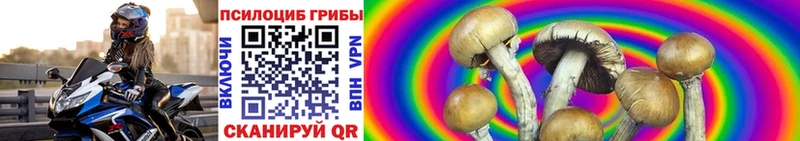 Галлюциногенные грибы мухоморы  хочу   Куртамыш 